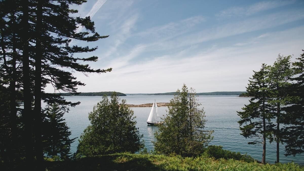 12 Best Airbnbs Near Acadia National Park for a Nature-Filled Vacation