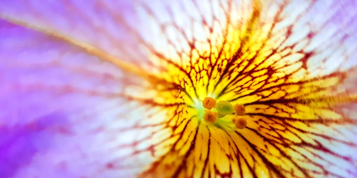 Everything You've Ever Wanted To Know About Clitoral Stimulation