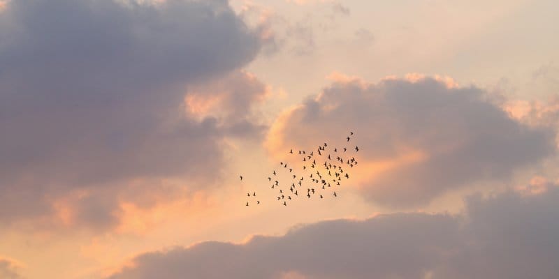 Picking Up Binoculars Could Change Your Brain For The Better