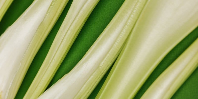 Could The Vegetables You're Ignoring Be The Key To A Healthier Gut?