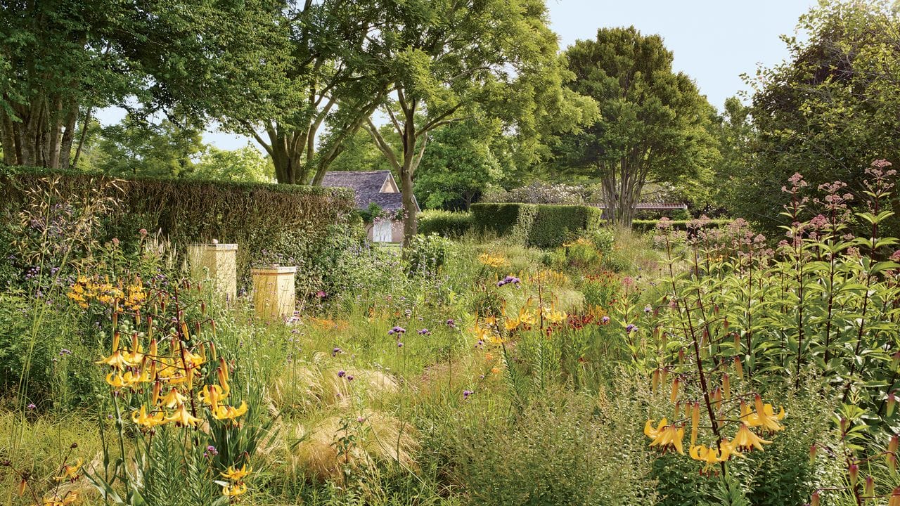 What Is a Chaos Garden?