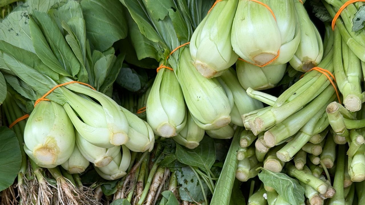 Is Fiber Actually the "Natural" GLP-1 Booster People Think It Is?