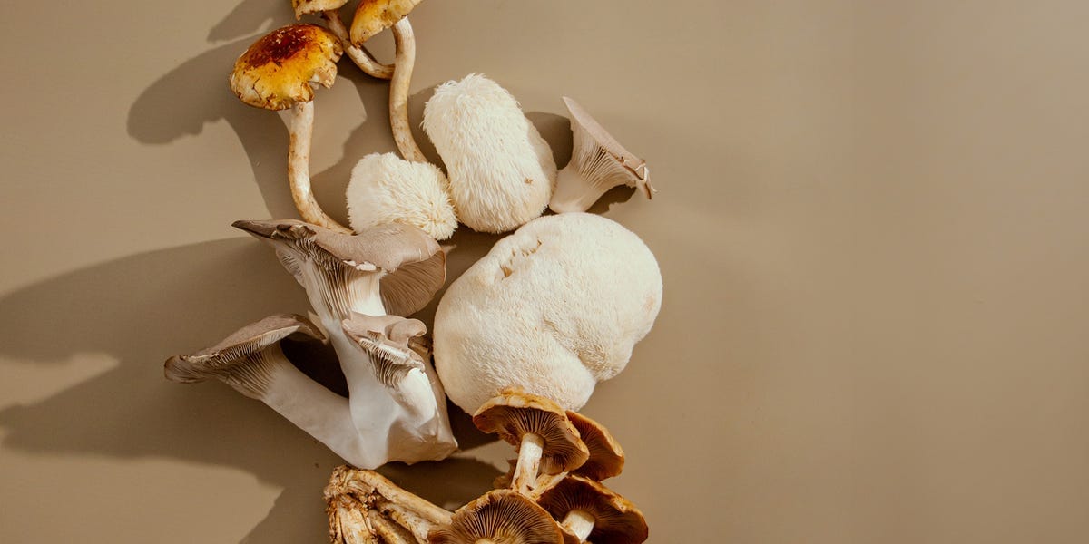 Eating This Specific Mushroom May Help Your Memory