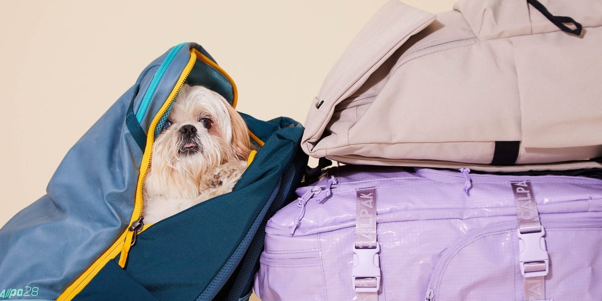 9 Best Travel Backpacks for Women in 2026, Tested by Editors