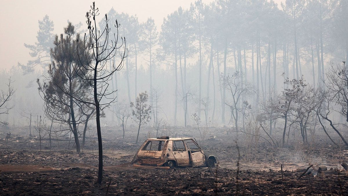 How Can Brands Manage Wildfire Risks?