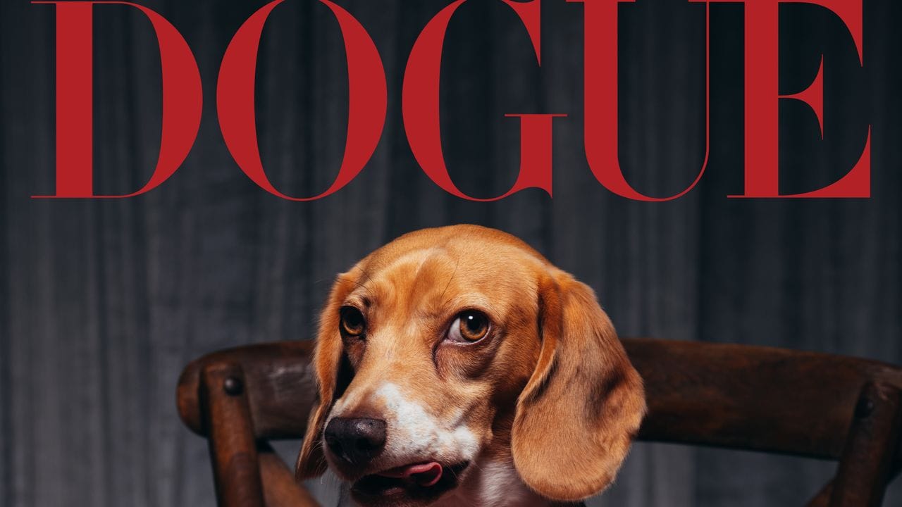 A Bad Bunny and a Beagle Walk Into a Restaurant…