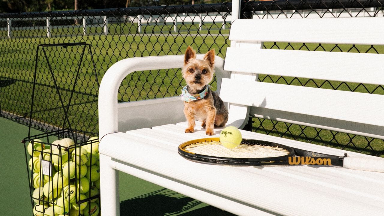Serena Williams Already Had Two Dogs—But Then She Picked Up Christopher ‘Chip’ Rafael Nadal