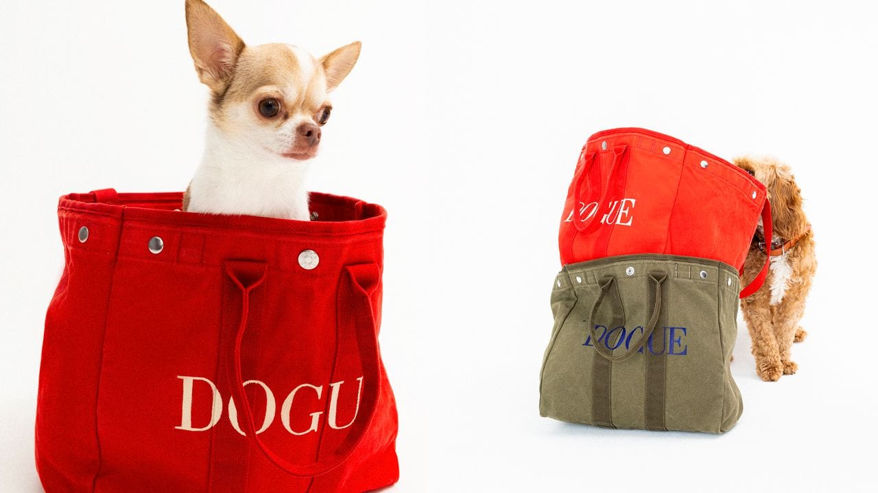 Bring Your Dogue to Work Day