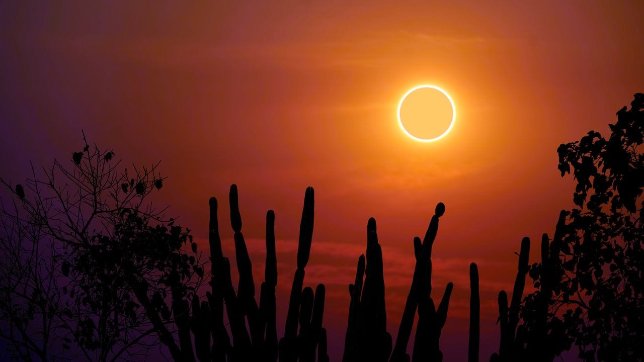 What the Total Solar Eclipse in Leo Means for Every Star Sign