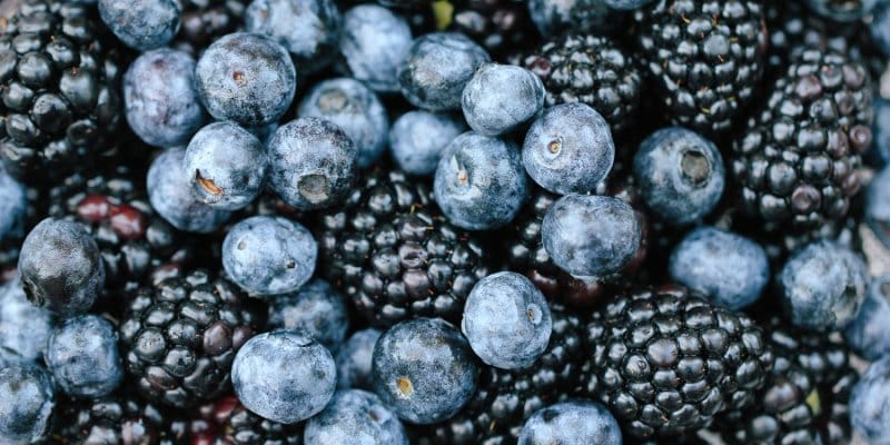 This Common Food Compound May Give Your Workouts A Gut-Health Boost