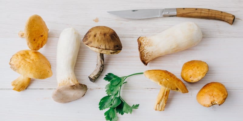 This Common Food Compound May Have Benefits Beyond What We Expect