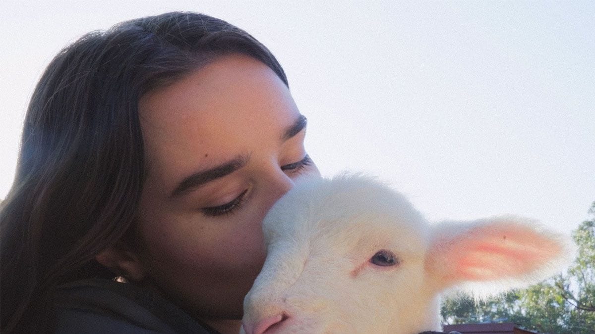 Wondering About Wool? These 5 Films Explain Fashion’s Relationship With the Fiber