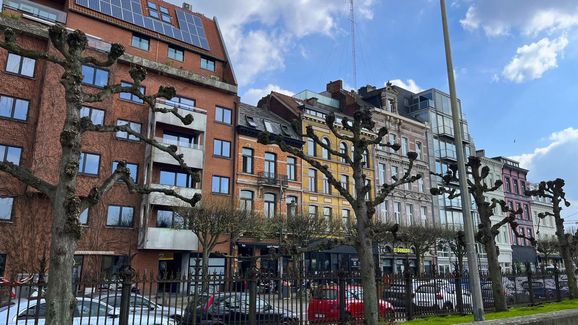 Pastel buildings with knotty trees in the foreground