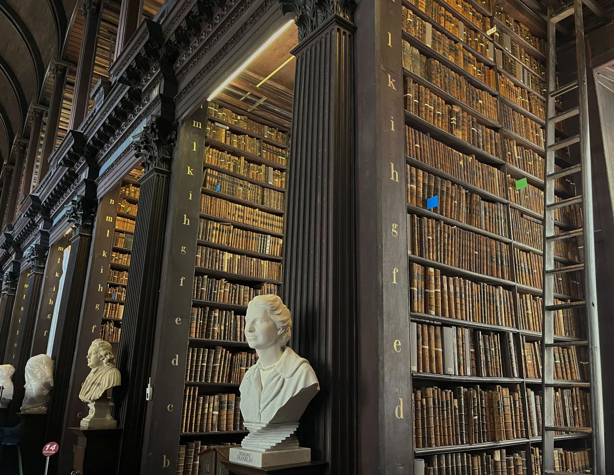 Dark wood bookshelves with white marble busts