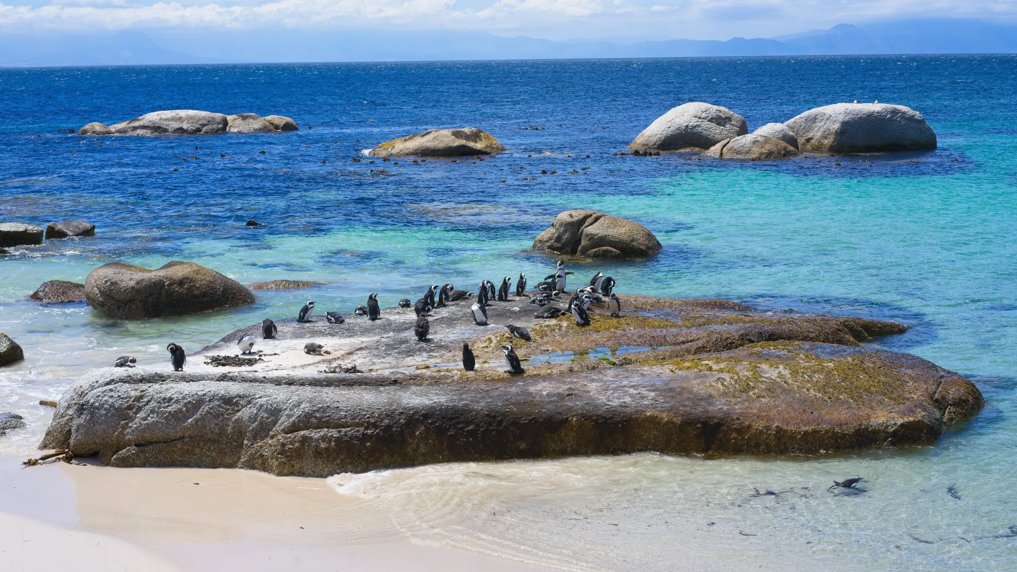 Multicolored blue water with penguins smattered on a rock sticking out
