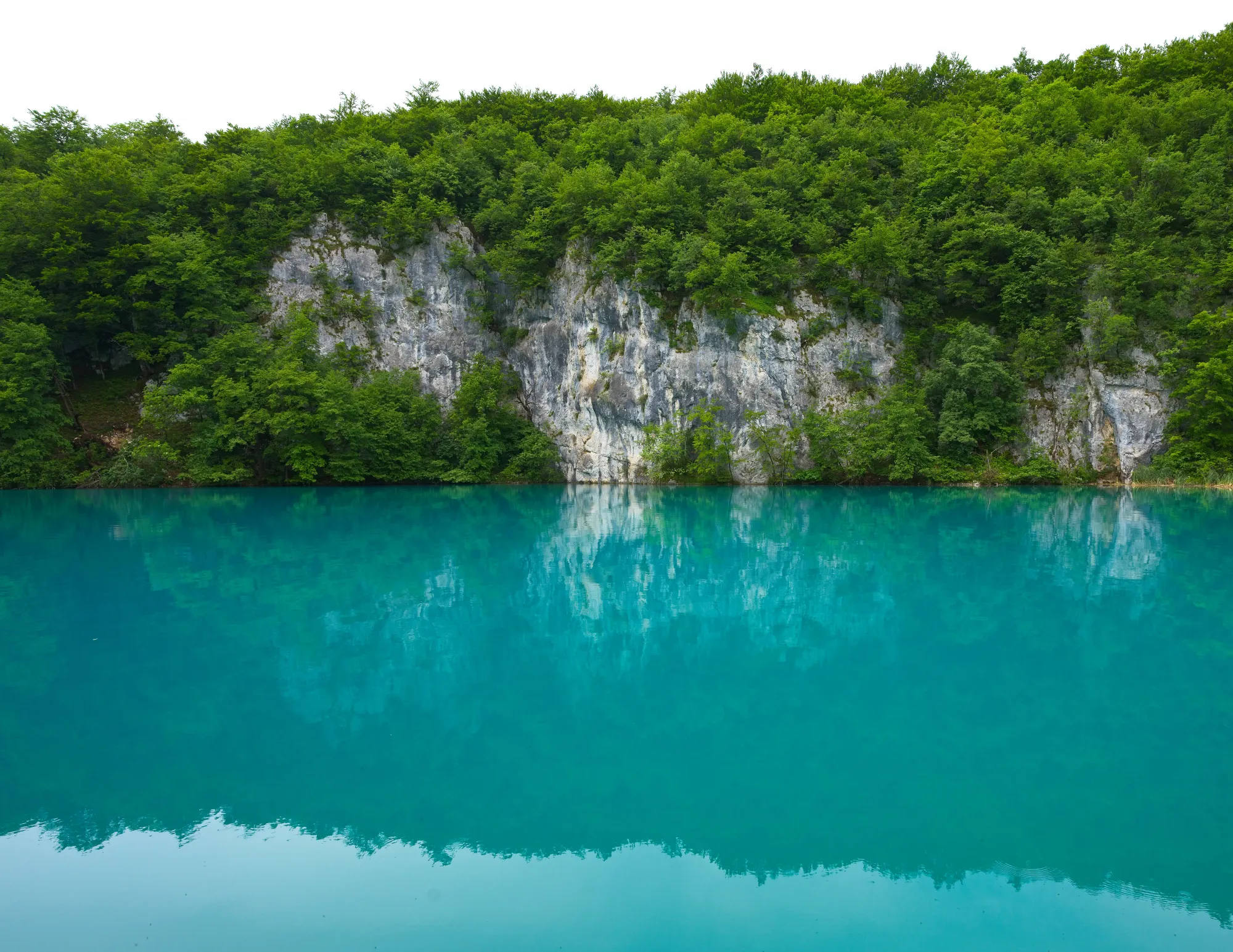 Green flora on grey stones reflected against aqua water