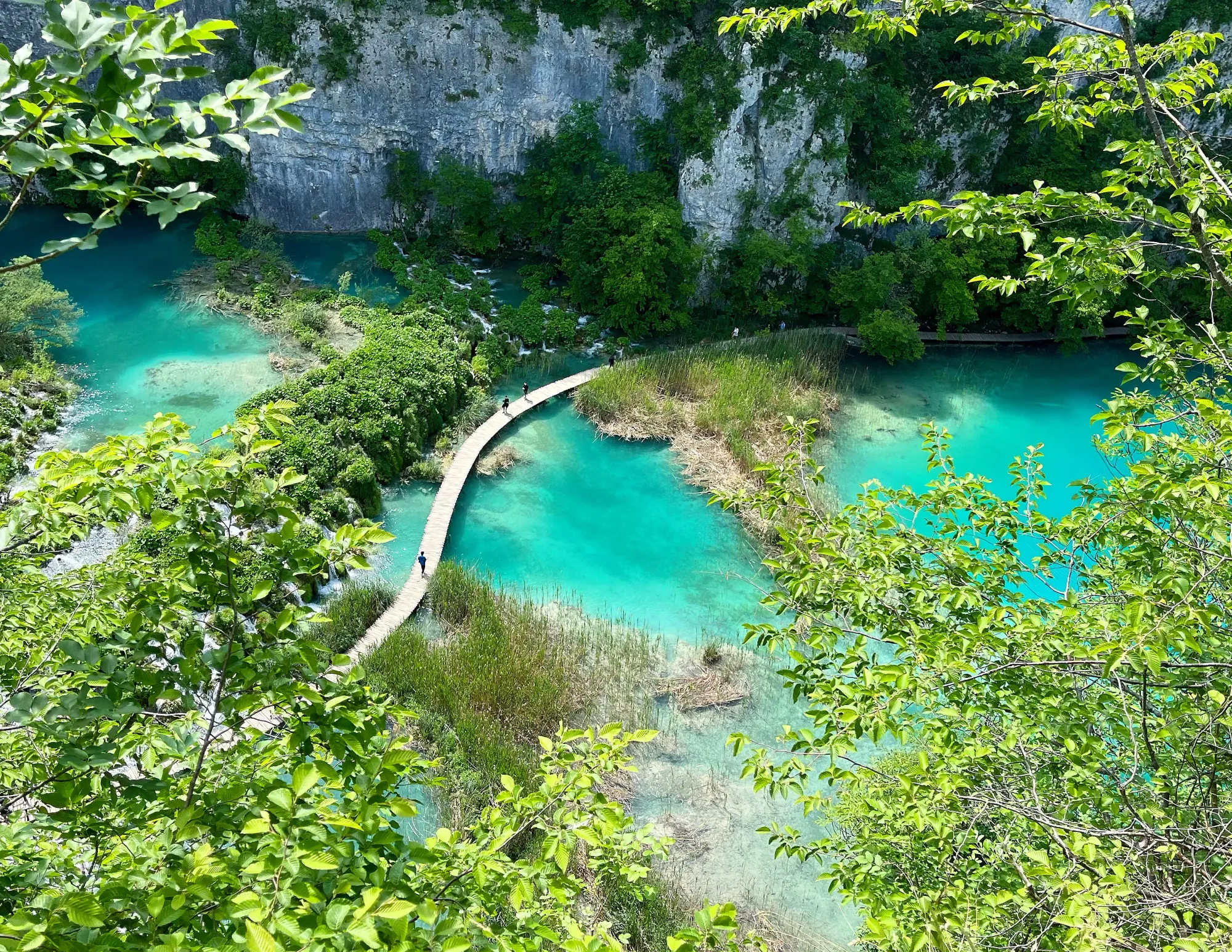 "S"-shaped walking pathway over aqua water surrounded by lush green and viewed from above