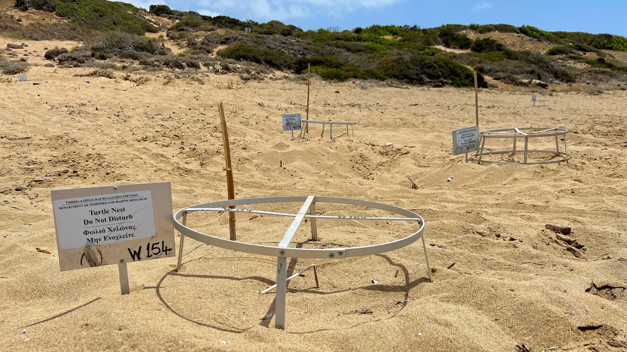 Metal cage nestled in the sand with a sign indicating the nest number