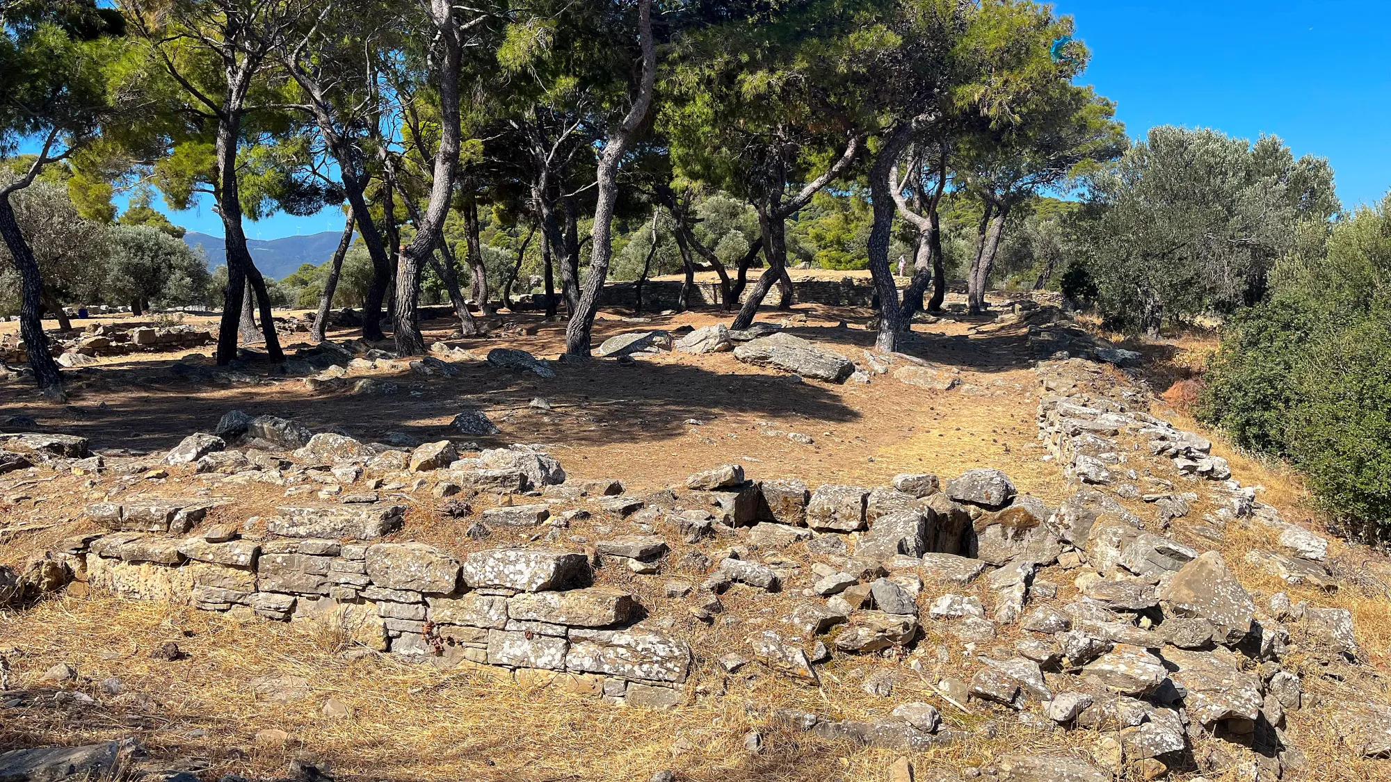 Stone ruins nestled under lush trees