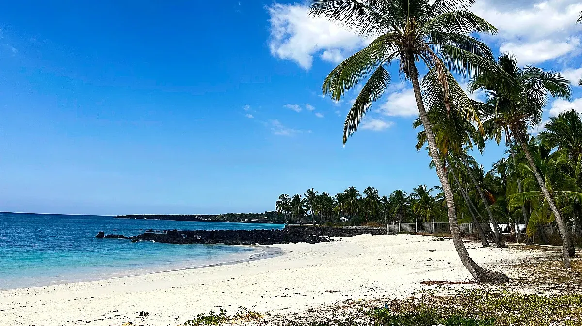 Bright white sand under palm tree cover next to gentle water