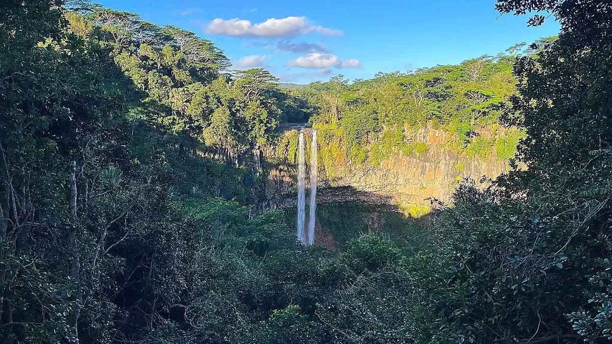 View through some trees and brush of a double waterfall spout