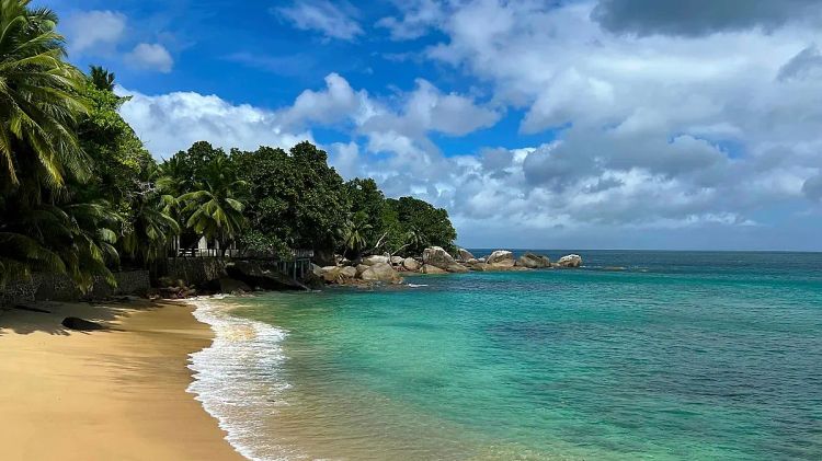 Smooth sandy beach under palm tree cover with turquise water