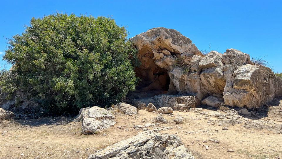 Rounded rock formations with an equally round bush beside it