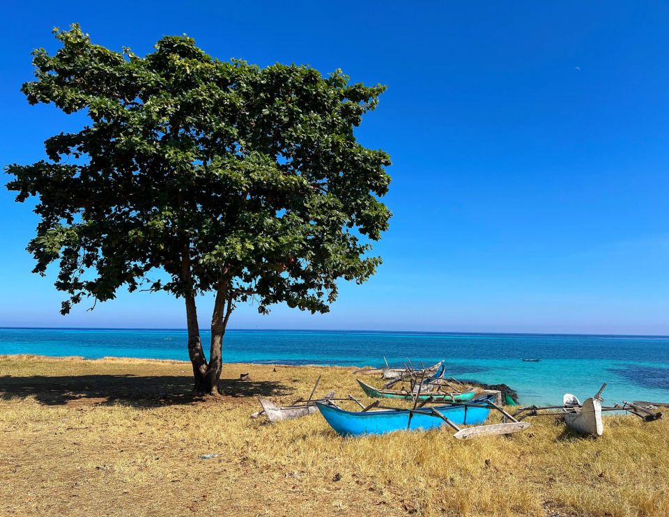 Turquoise water with a lone tree and some old canoes resting under it.