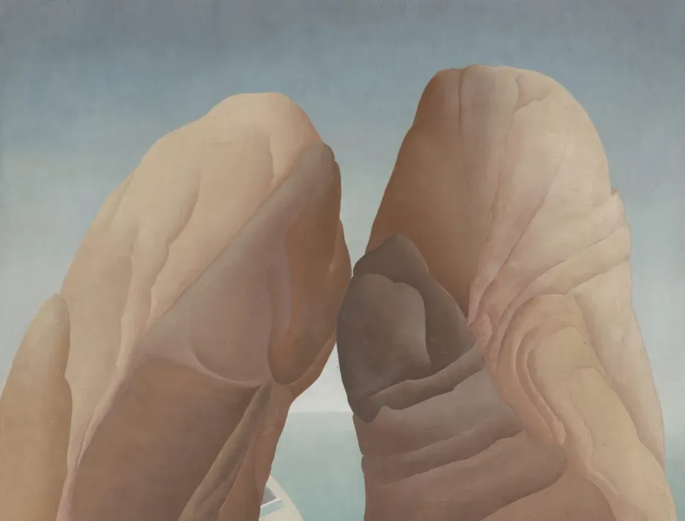 Detail from Ithell Colquhoun's "Scylla"...Two rutting cliff-faces (or legs, or...)