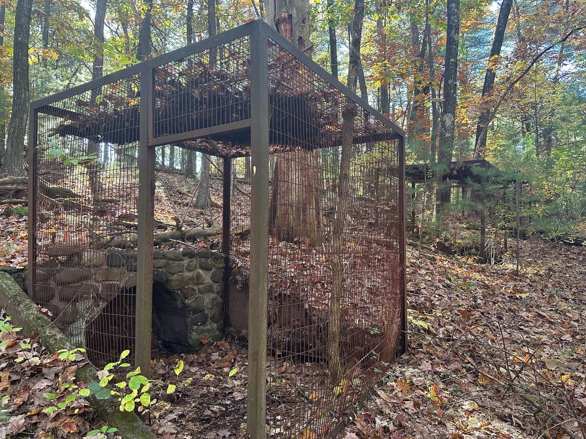 Shade Swamp Sanctuary (Farmington, CT)