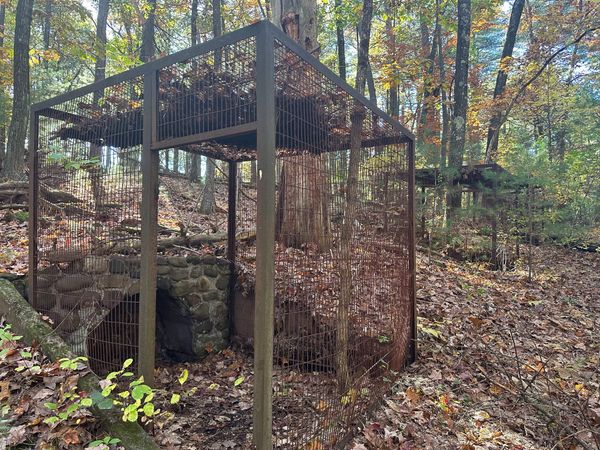 Shade Swamp Sanctuary (Farmington, CT)