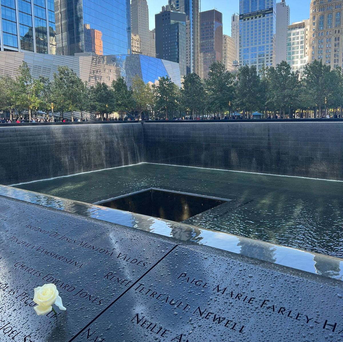 A photo of the WTC Memorial, looking across the space, a rose stuck in the name of one of the dead.