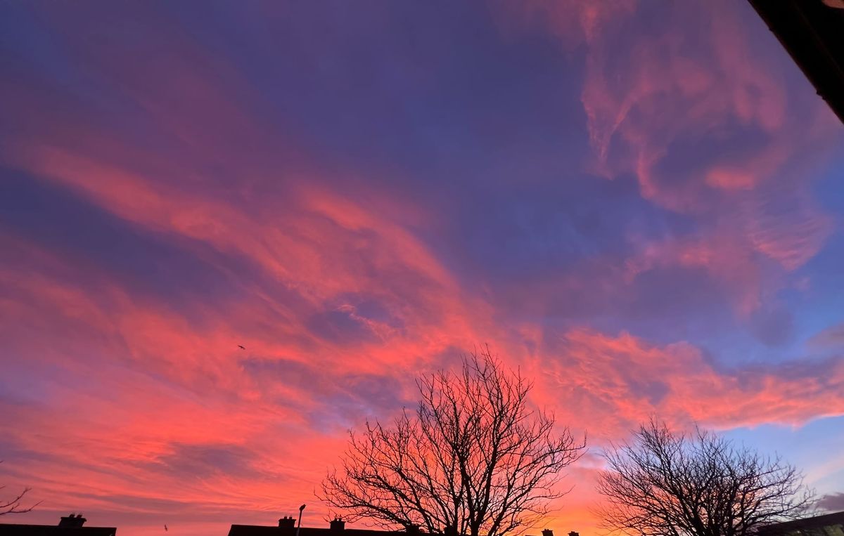 Mini-Gist: Power’s Walled City