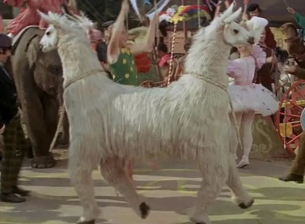 The Pushmi-Pullyu, a two headed lama creaature with a head at both ends from the Doctor Dolittle film of the 1960s