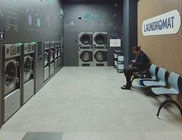 The Gist: Ireland's Biometric Laundromat
