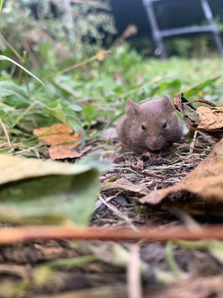 The Gist: Leaders Questions, few answers