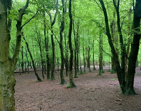 The Gist: Attack of the Cyber-Men