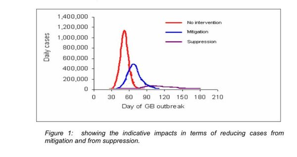 The Gist: How Did I Get Here