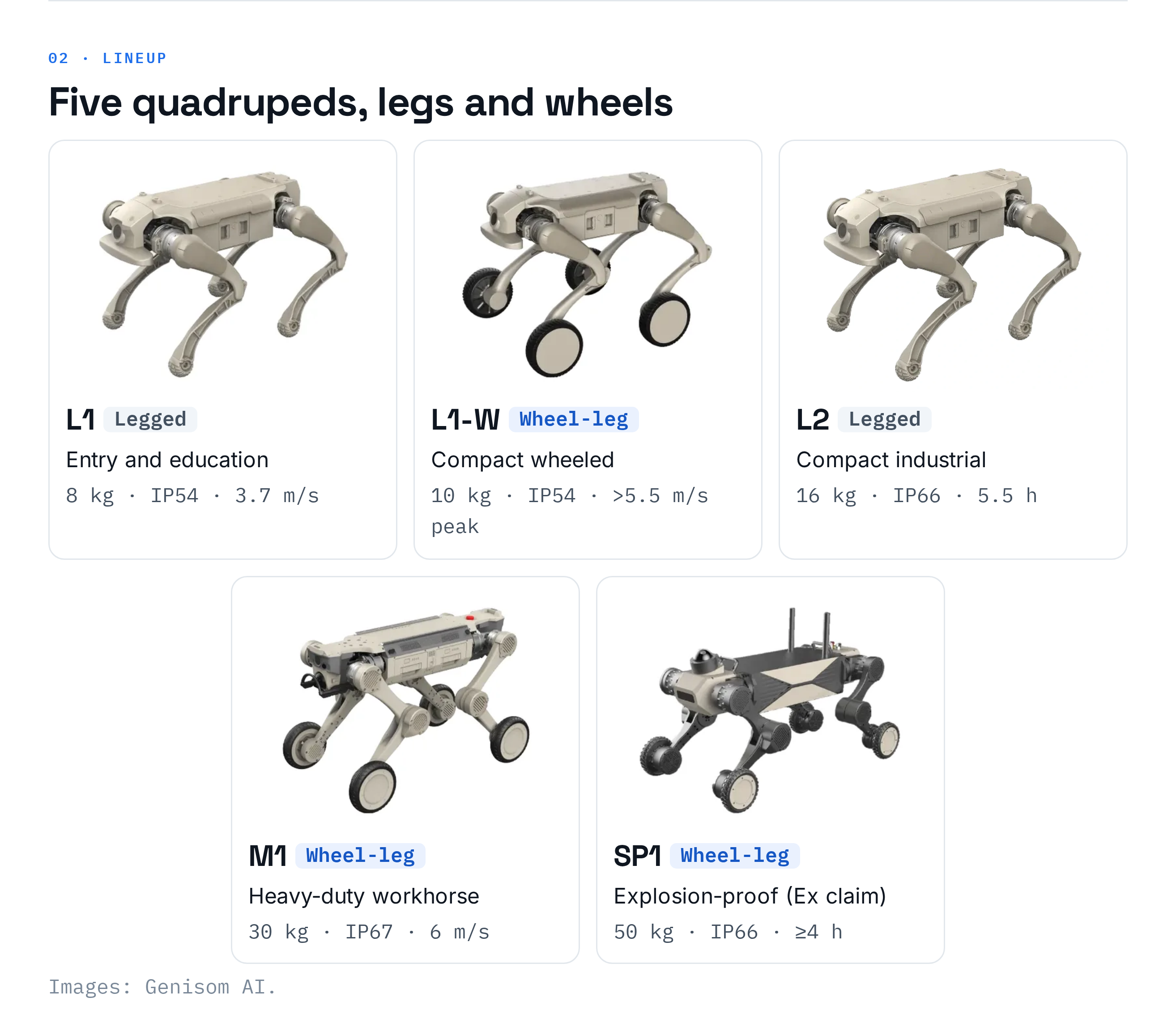 Lineup: five quadrupeds