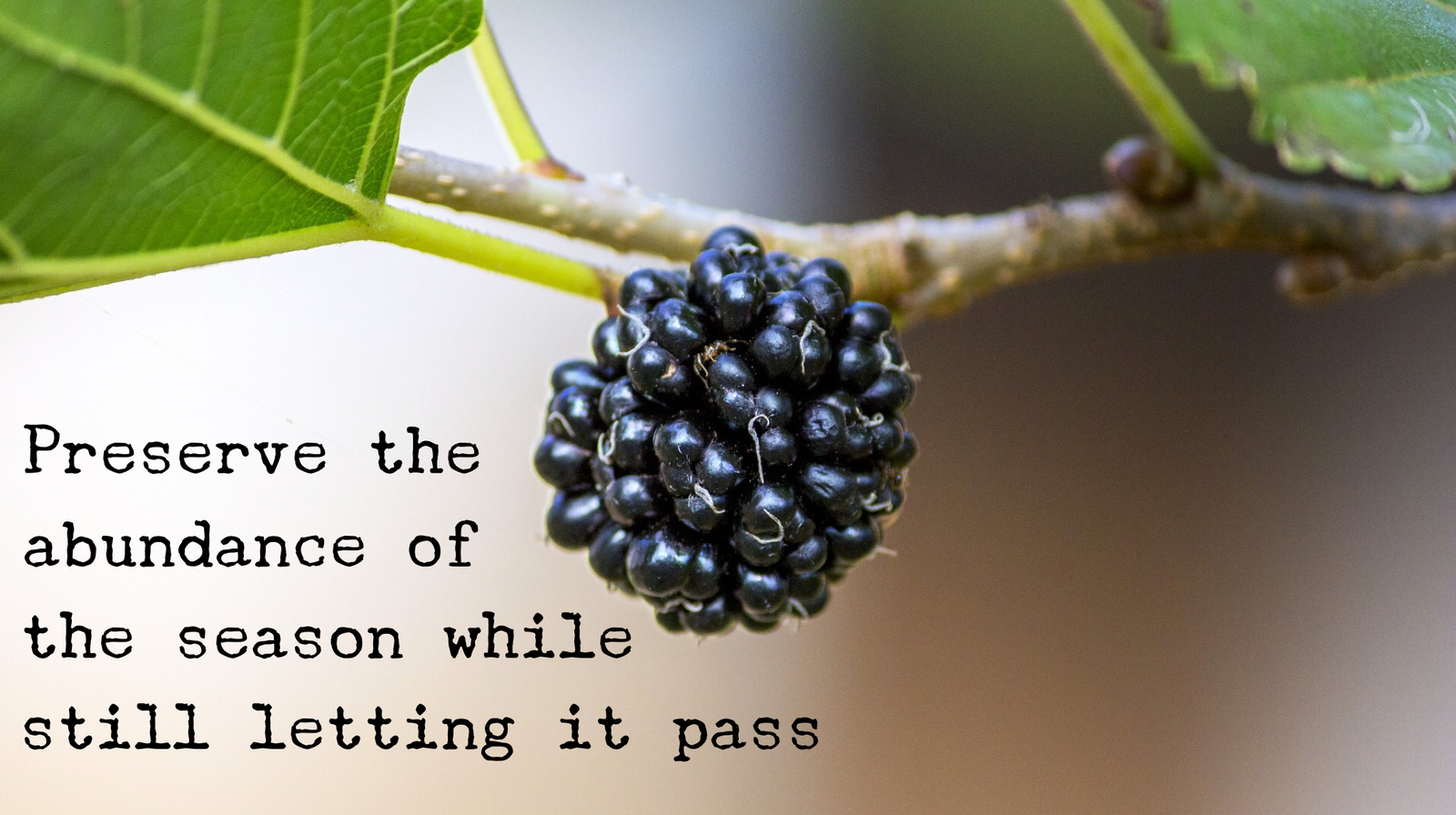 Potent Abundance