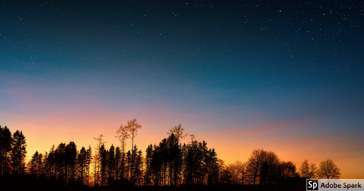 wisdom begins in wonder