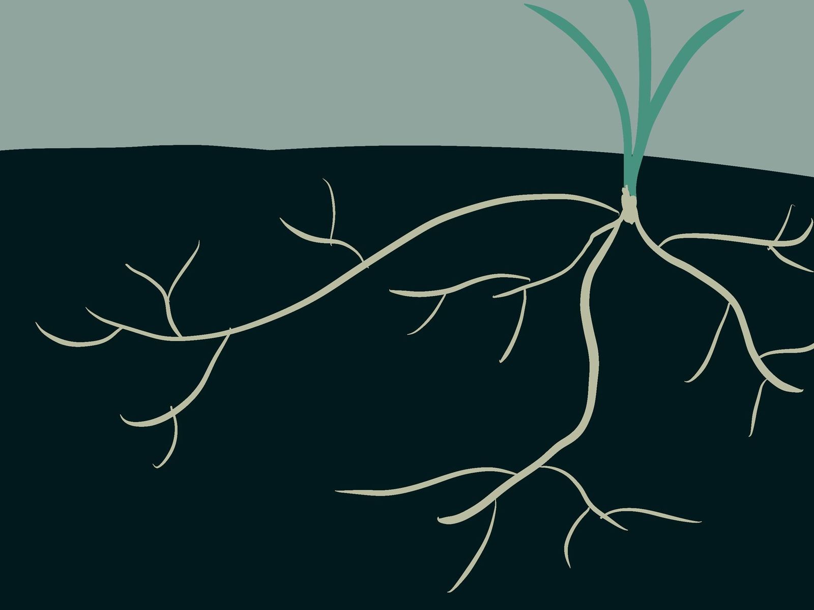 life in the bewilderness