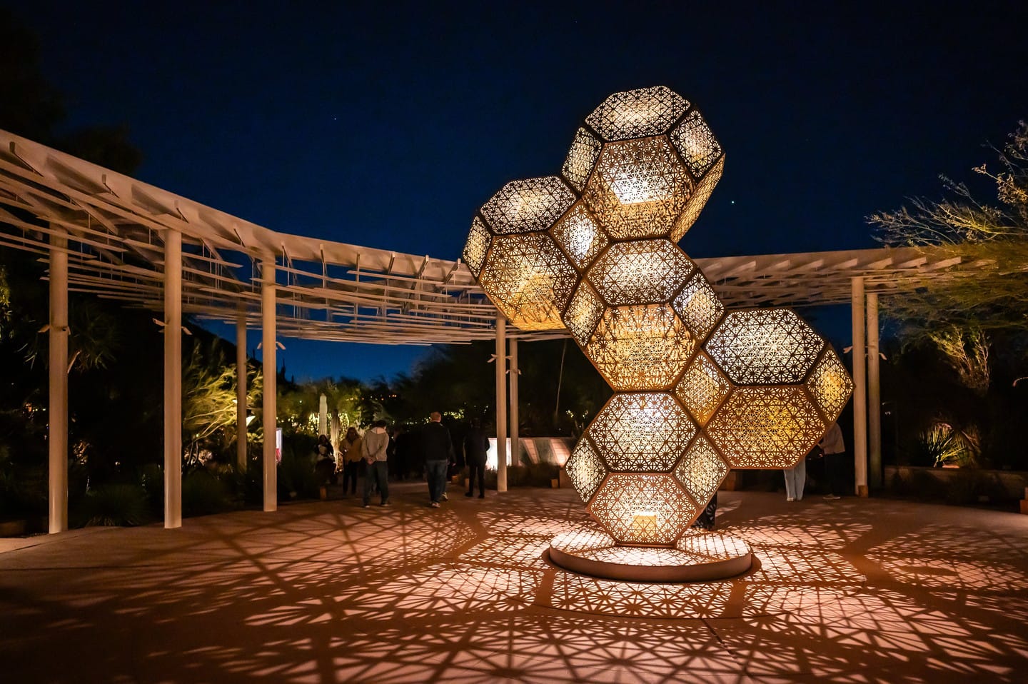 Desert Botanical Garden in Phoenix, Arizona.