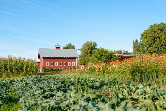 The farm at the Orchard Kitchen in Whidbey Island, Washington.