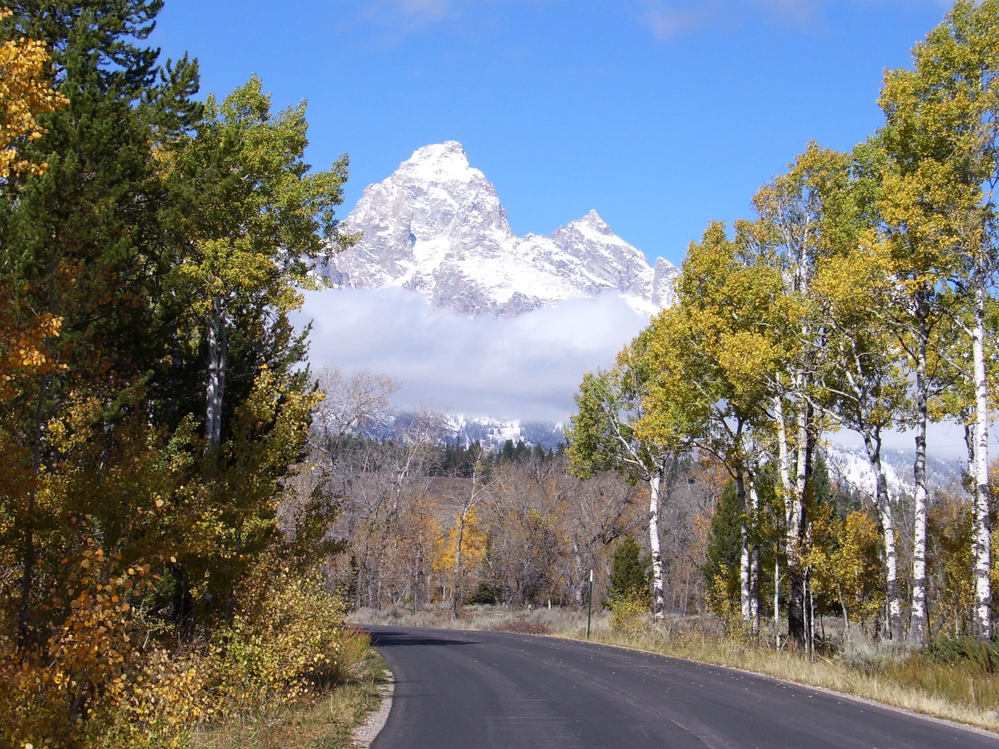 Grand Teton Moose Wilson Road in Grand Teton National Park.