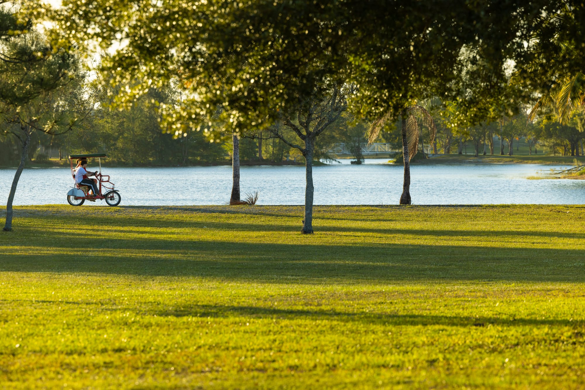 Pedi-cab in the park