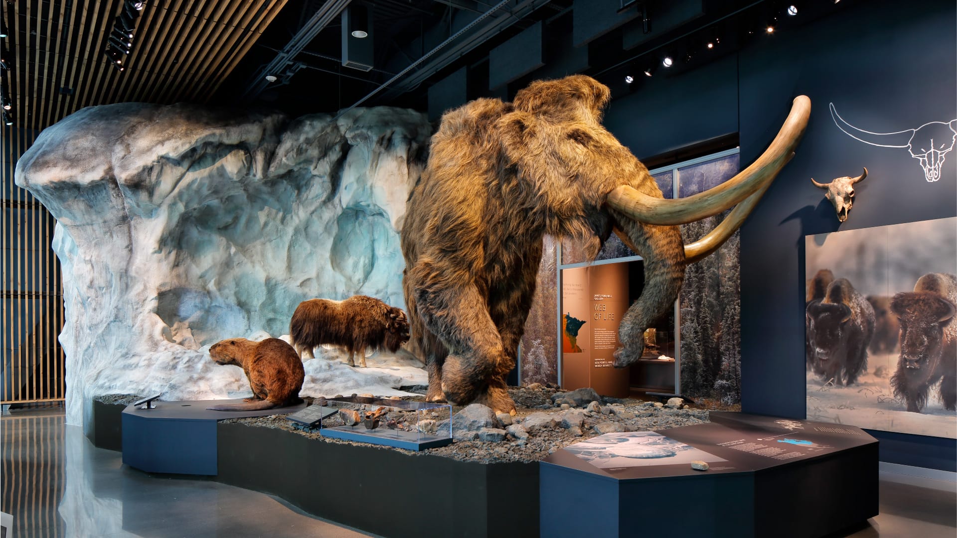 Pleistocene-Diorama at the Bell Museum in St. Paul, Minnesota.