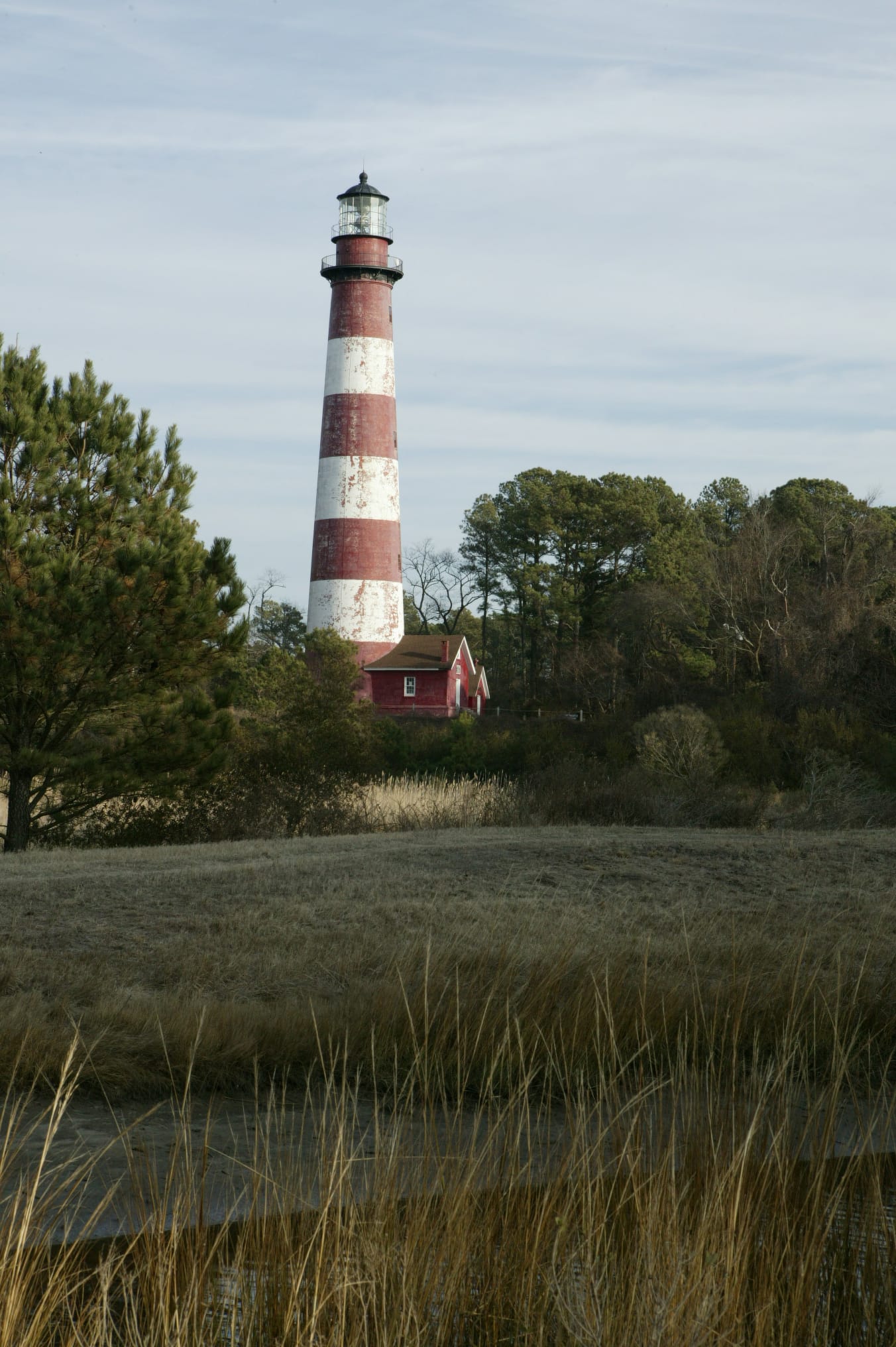 Red and white Assateague Lighthouse on Assateague Island Virginia