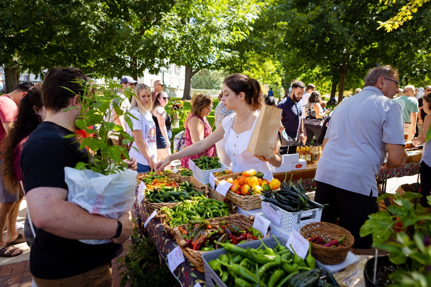 Dane County Farmers' Market in Madison, Wisconsin.