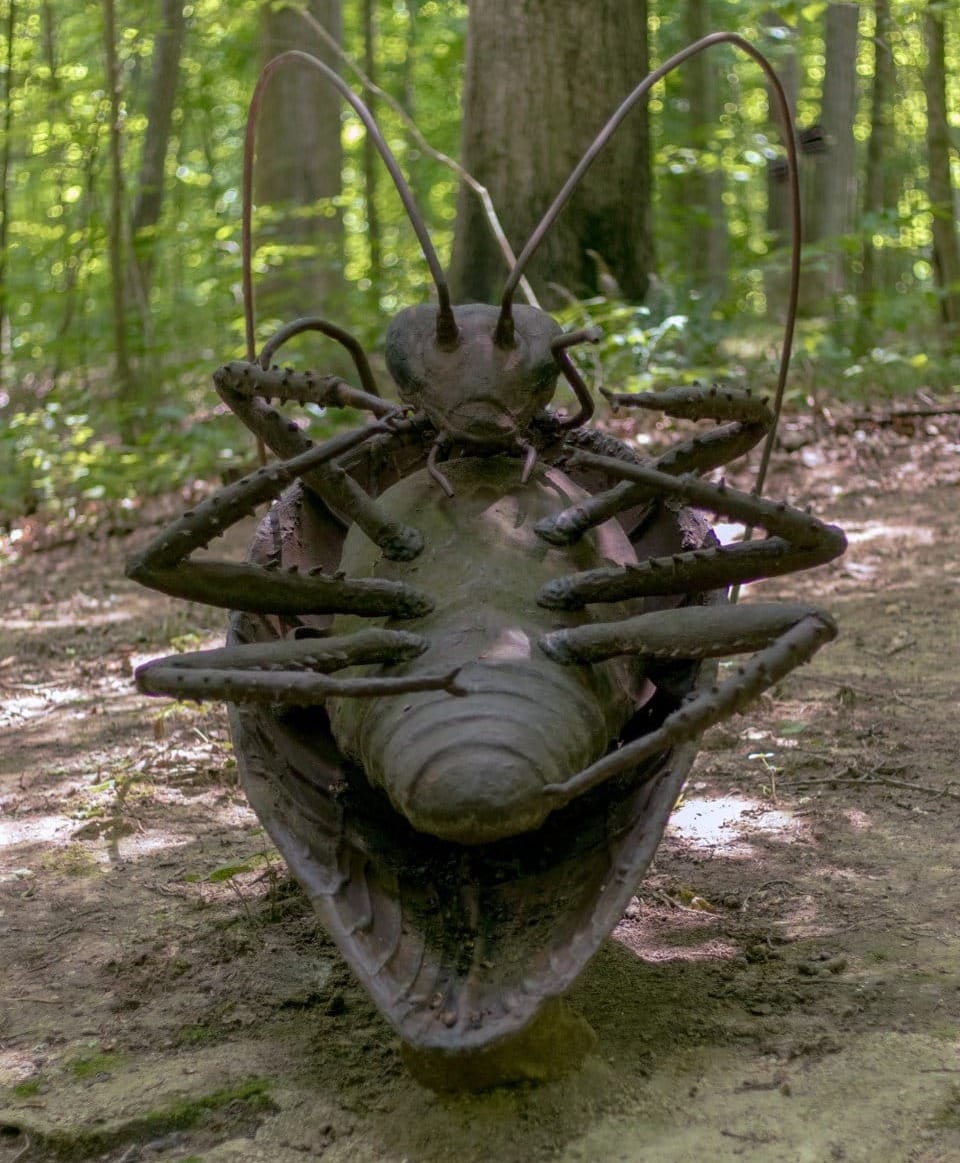 Sculpture Trails Outdoor Museum